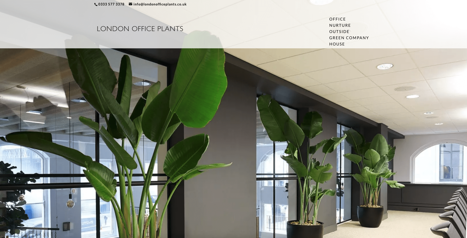 london office plants